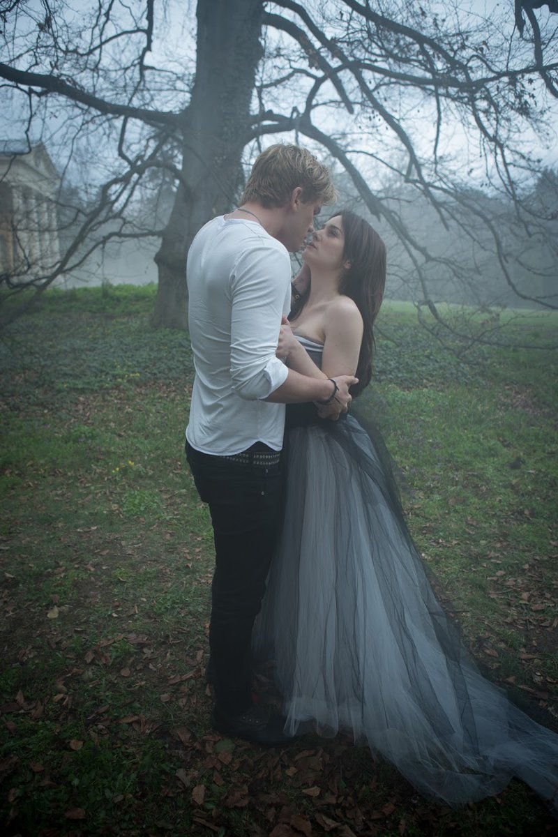 fallen-still