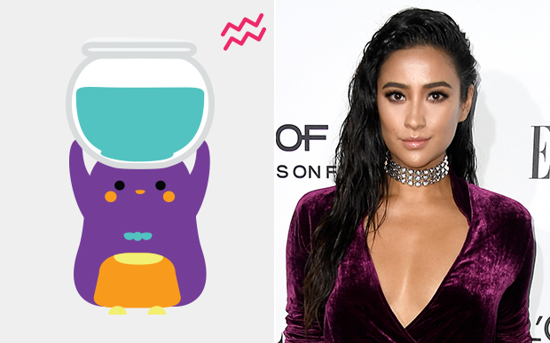 Shay Mitchell