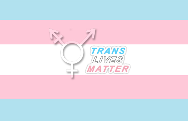 Bandeira Transexuais | Orgulho Trans