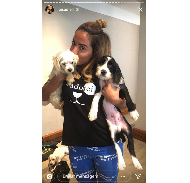 anitta adota cachorros