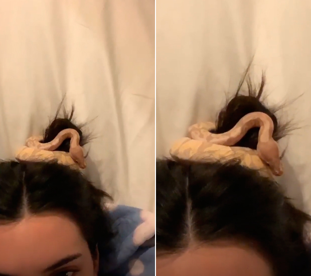kendall-jenner-cabelo-cobra-2 kendall-jenner-cabelo-cobra-2