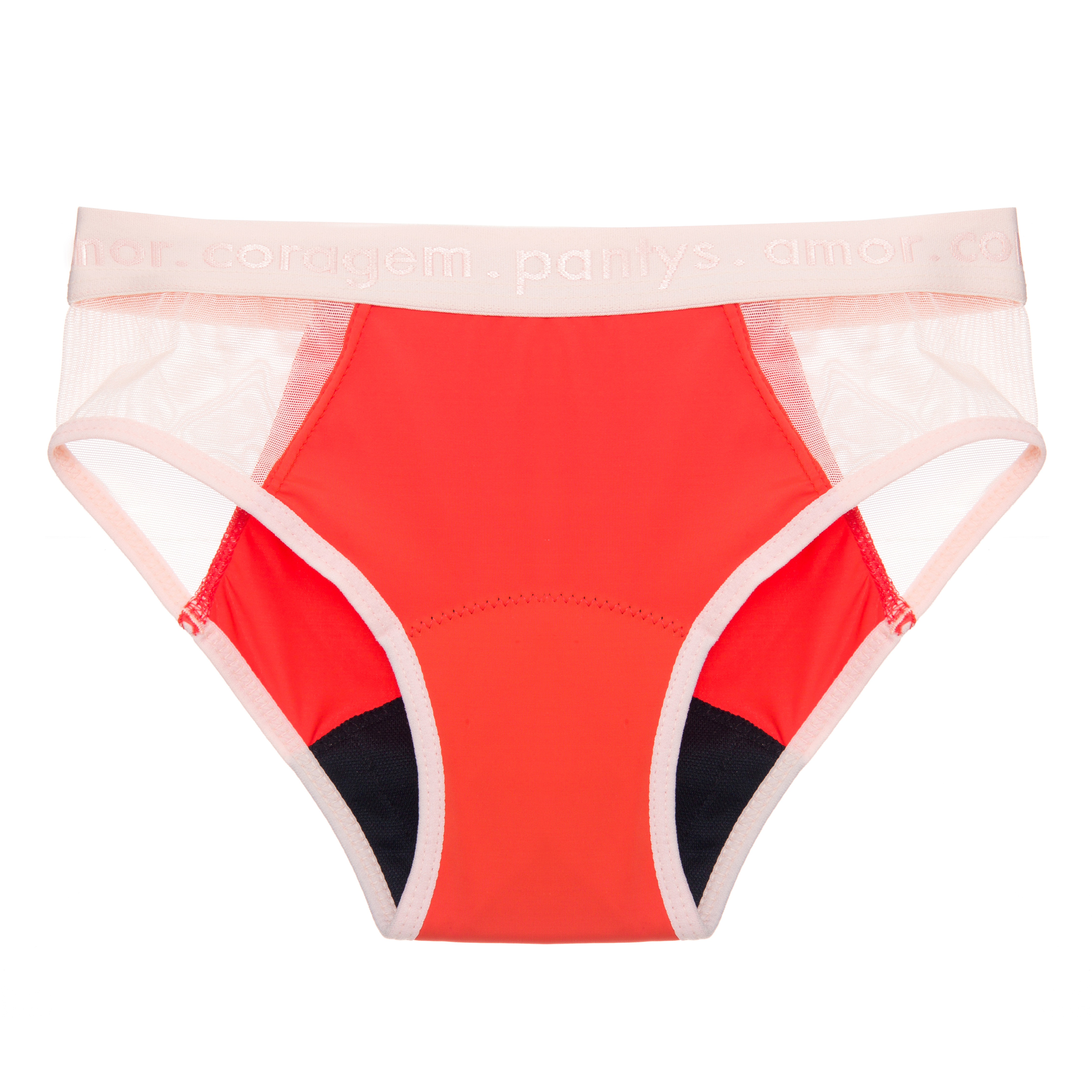calcinha-pantys-04
