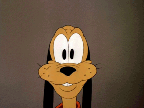 Teste: Qual mascote da Disney seria seu fiel companheiro? gif do pluto