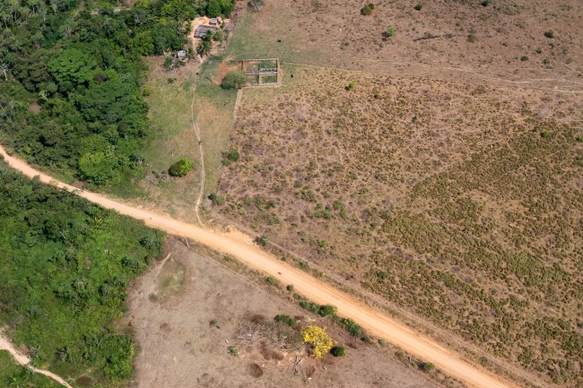 Foto do desmatamento na Amazônia