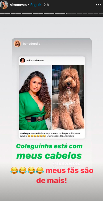 simone-comparacao-cabelo-cachorro simone-comparacao-cabelo-cachorro
