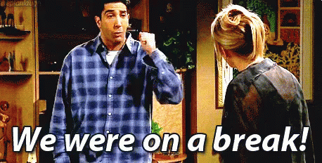 friends-we-were-on-a-break-gif