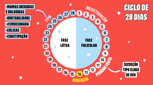 Menstruação: Guia completo de como funciona o ciclo menstrual Ilustração mostrando todas as fases de um ciclo menstrual