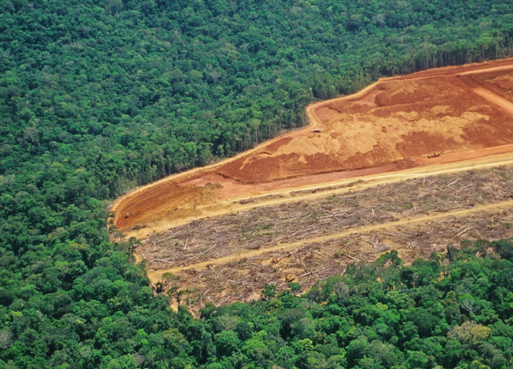 Desmatamento na Amazônia bate novo recorde em plena pandemia