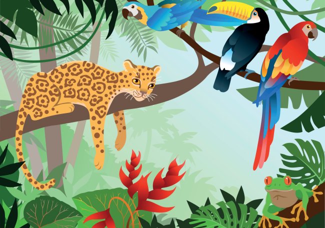 Ilustração de animais nativos da Amazônia