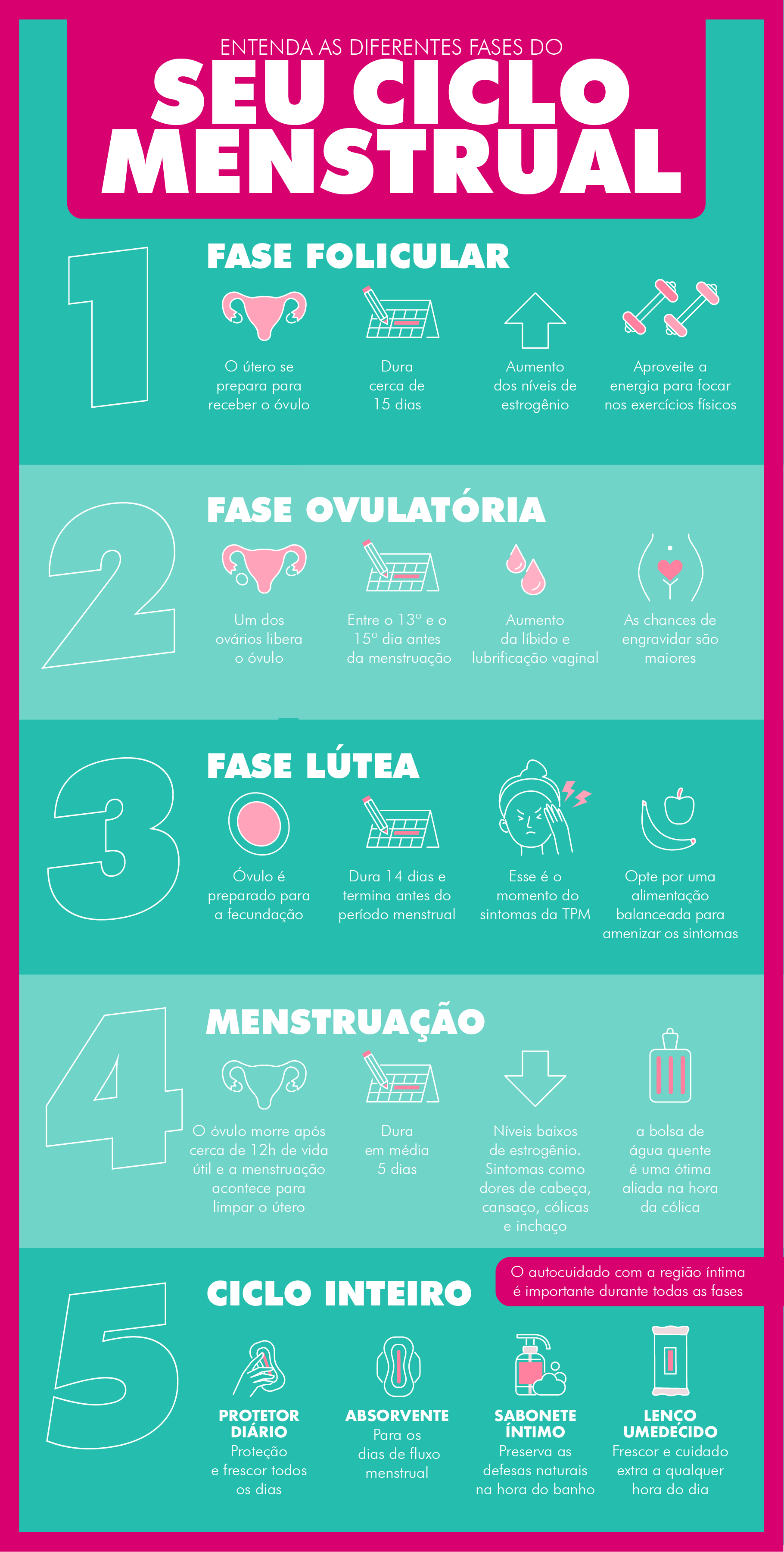 Ciclo menstrual