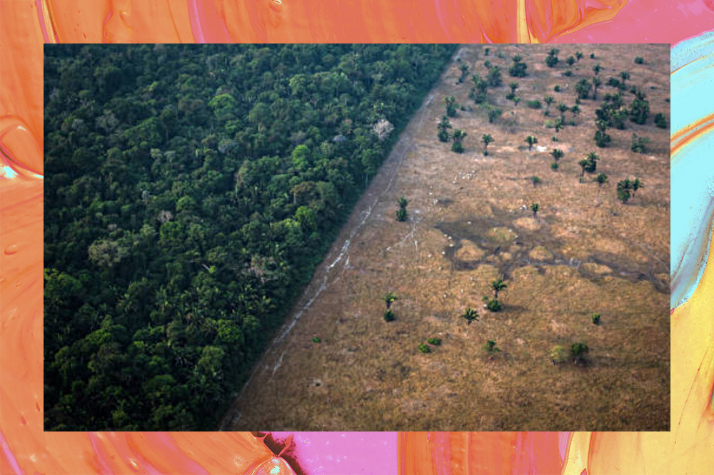 Desmatamento na Amazônia