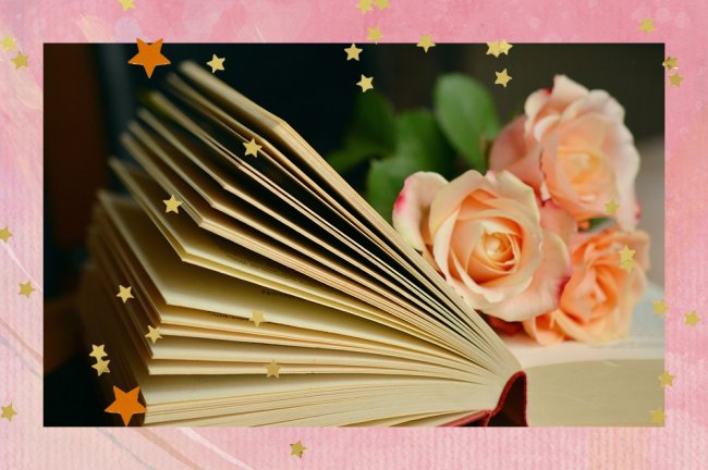 Livro com rosas