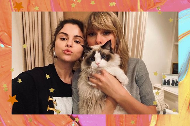taylor swift selena gomez Selena Gomez fazendo biquinho ao lado de Taylor Swift, que está segurando um gato