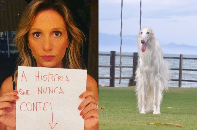 Luisa Mell rebate acusação de roubo de cachorro: “Apreendido pela polícia” Imagem de Luisa Mell ao lado do borzoi que ela foi acusada de roubar