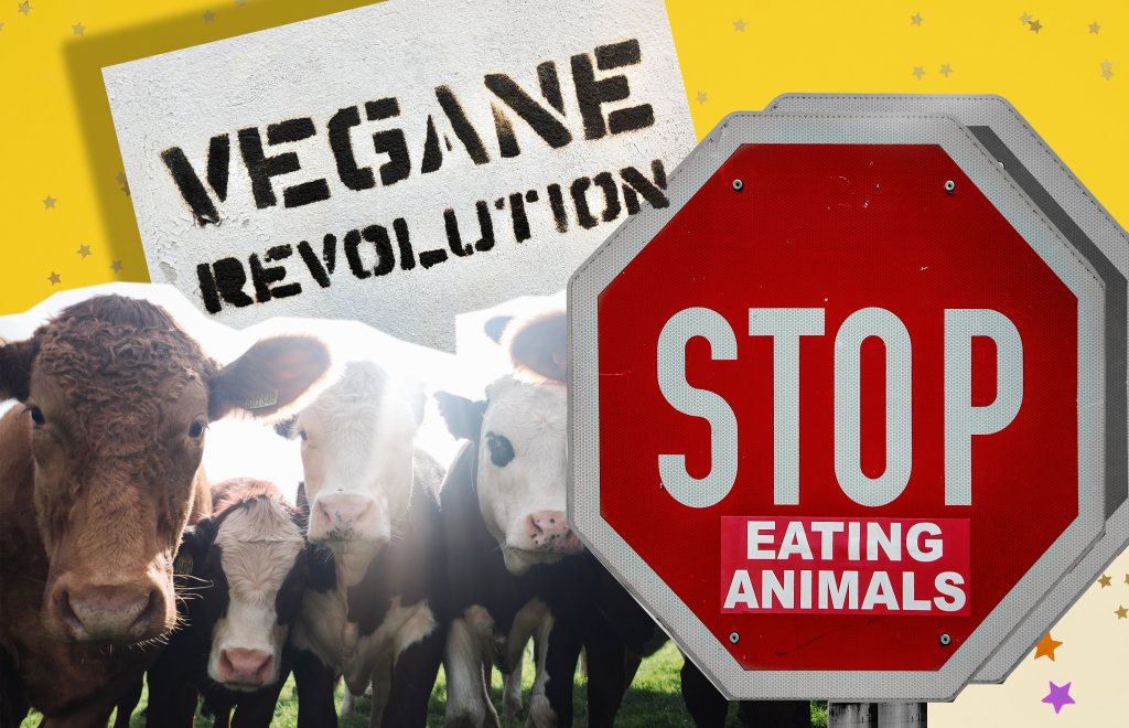 Colagem de fotos mostrando alguns bois no pasto, abaixo de uma placa escrita "Revolução Vegana" e ao lado de uma placa de trânsito com a palavra "Stop", e abaixo escrito "de comer animais"