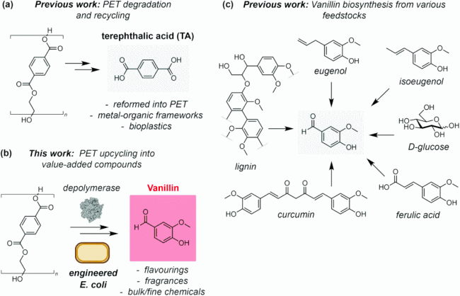 Cientistas conseguem transformar plástico em ingrediente usado em sorvete Imagem da transformação química do PET em aroma de baunilha