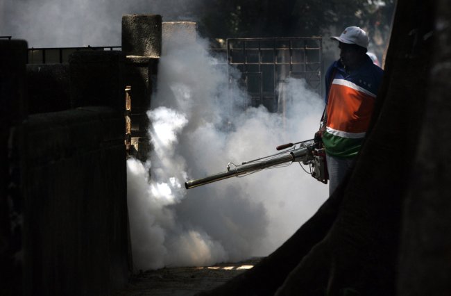 É verdade que, sem as abelhas, não existiria mais vida no planeta Terra? Foto de um homem segurando um equipamento que solta fumaça e mata mosquitos