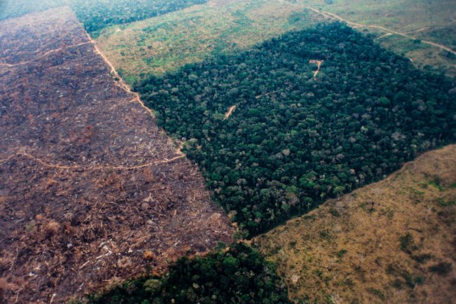 Aerial view of Amazon rainforest deforestation and farm Amazonia