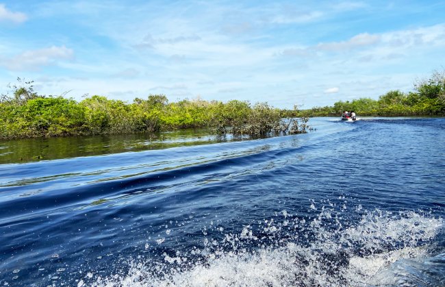 Foto na Amazônia, do Rio Negro