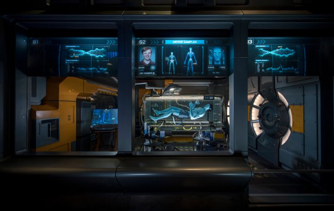 Segredos e curiosidades sobre Pandora, área de Avatar no Animal Kingdom Simulador Flight of Passage, no Animal Kingdom