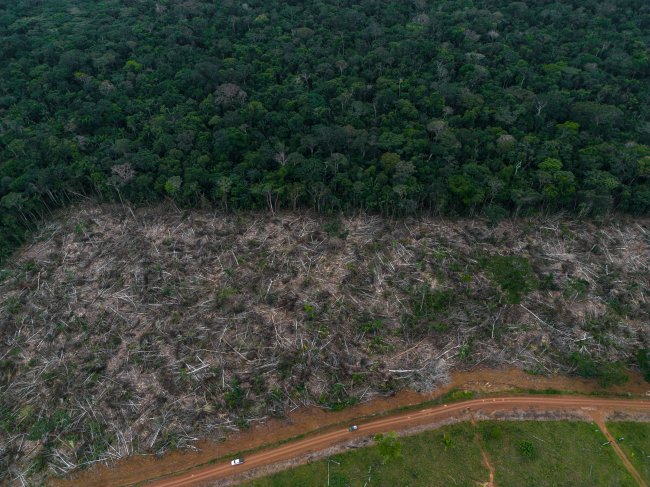 Desmatamento de floresta