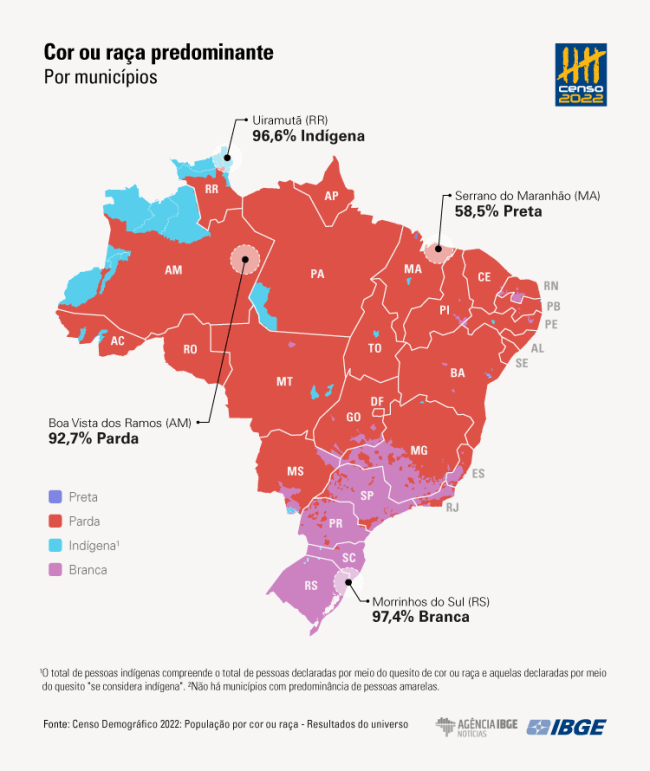 Gráfico mostra a predominância de pardos Gráfico