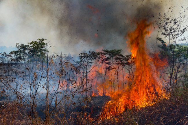 Queimadas na Amazônia Queimadas em Rio Branco, no Acre, em 2020