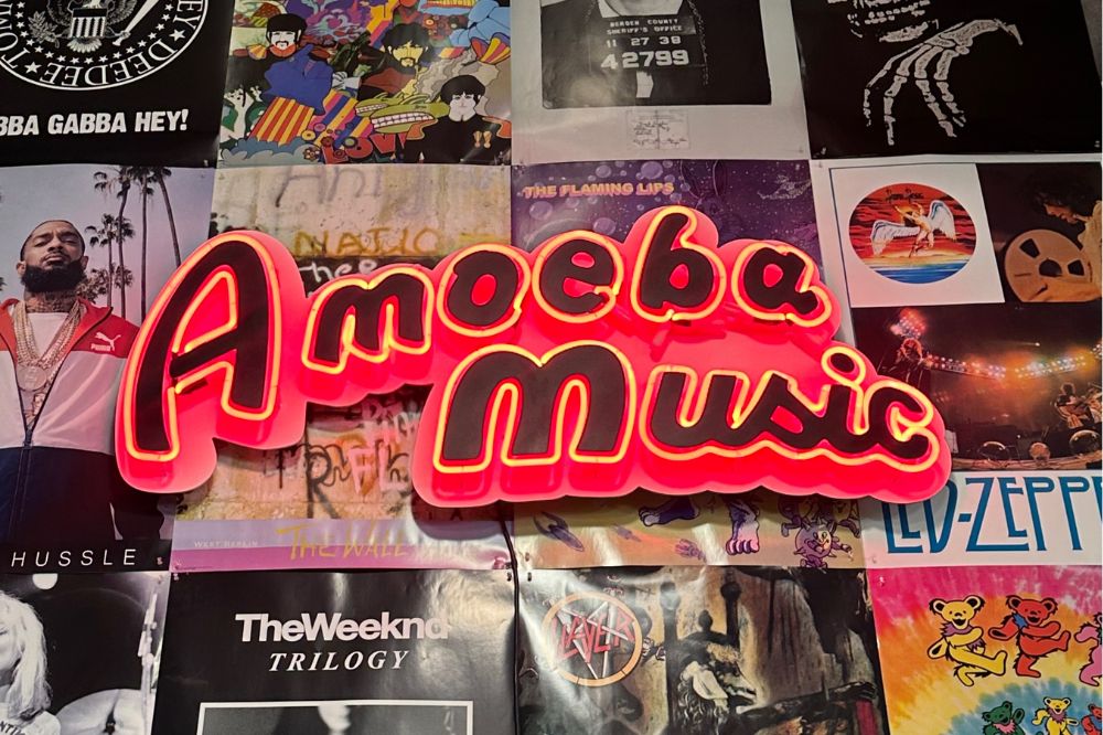 amoeba